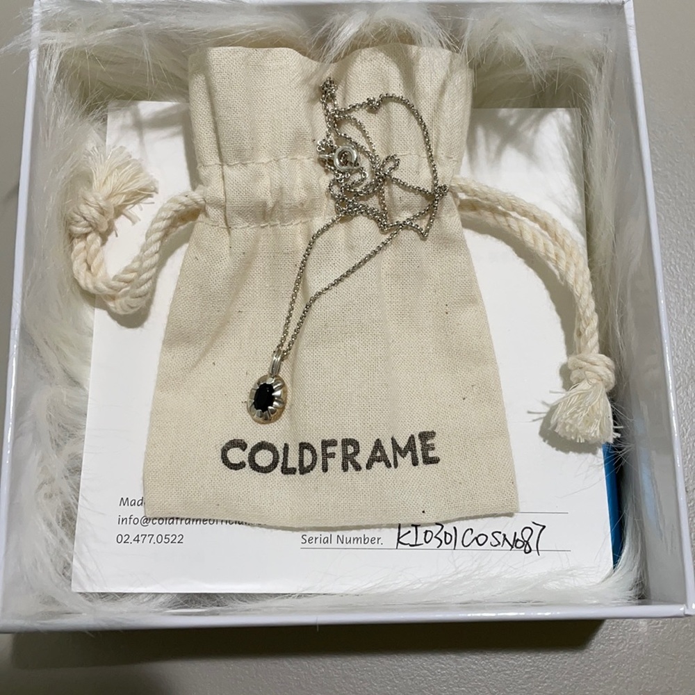 coldframe claw onyx silver necklace